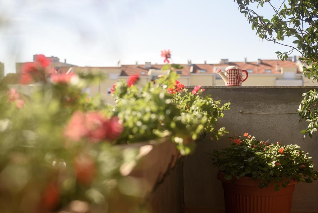 Ferienwohnung Basic Apartman Zadar Exterior foto